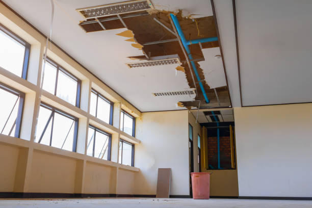 Best Water damage cleanup near me  in Polo, IL