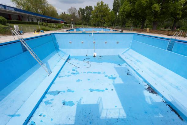Best Basement water damage restoration  in Polo, IL