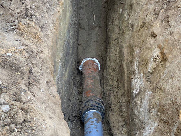 Best Flood damage cleanup  in Polo, IL