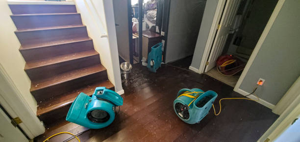 Best Sewage cleanup and water damage restoration  in Polo, IL