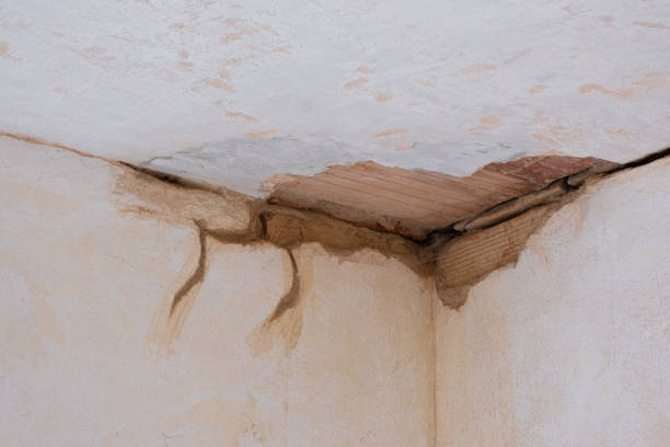 Best Water damage restoration company  in Polo, IL