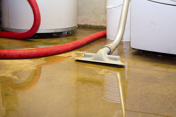 Local water damage restoration in IL