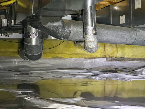 Best Flooded house restoration  in Polo, IL