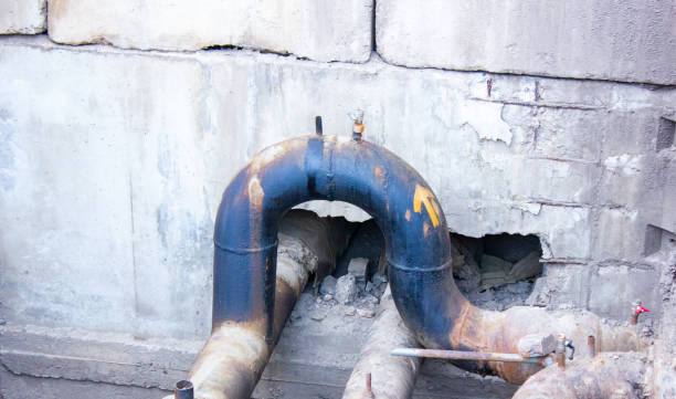 Best Local water damage restoration  in Polo, IL