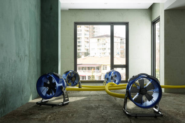 Best 24/7 water damage repair  in Polo, IL