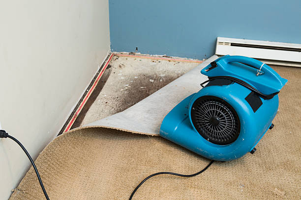 Best Emergency water damage restoration  in Polo, IL
